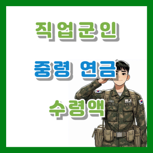 직업군인 중령 연금 수령액