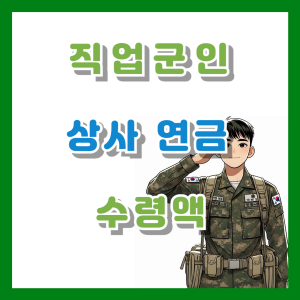 직업군인 상사 연금 수령액