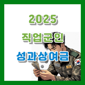 Read more about the article 2025 직업군인 계급별 성과상여금 수령액